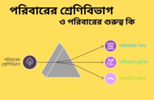 পরিবারের শ্রেণিবিভাগ ও পরিবারের গুরুত্ব কি?