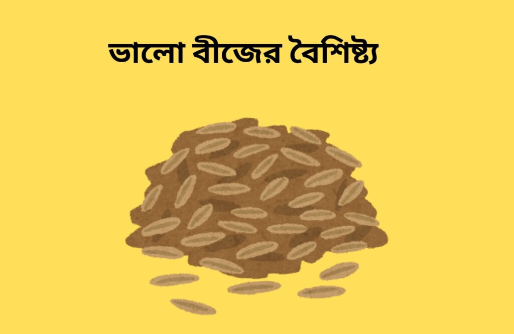 ভালো বীজের বৈশিষ্ট্য